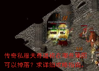 传奇私服天尊道袍在哪些地图可以掉落?求详细攻略指南。 传奇私服天尊道袍在哪些地图可以掉落?求详细攻略指南。