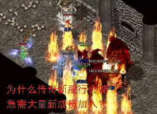为什么传奇新服行会都急需大量新成员加入? 为什么传奇新服行会都急需大量新成员加入?